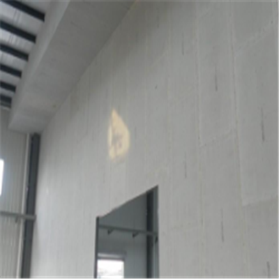 义马新型建筑材料掺多种工业废渣的ALC|ACC|FPS模块板材轻质隔墙板